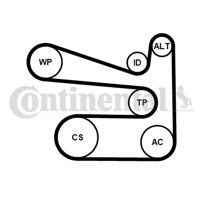 Water Pump + V-ribbed Belt Kit